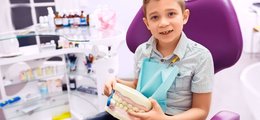 Acidolac artykuł - Jak prawidłowo myć zęby?